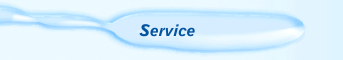 Service